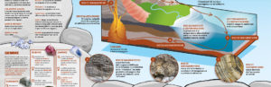 Sgulp! Infografica geologia by Pleiadi Science Farmer Educazione STEAM STEM scienza esperimenti laboratori imparare con le mani mostra interattiva progetto educativo infanzia adolescenti bambini eventi didattici scientifici